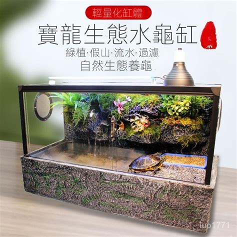 烏龜水池|【烏龜缸diy】最全烏龜缸布置、造景、換水總整理，。